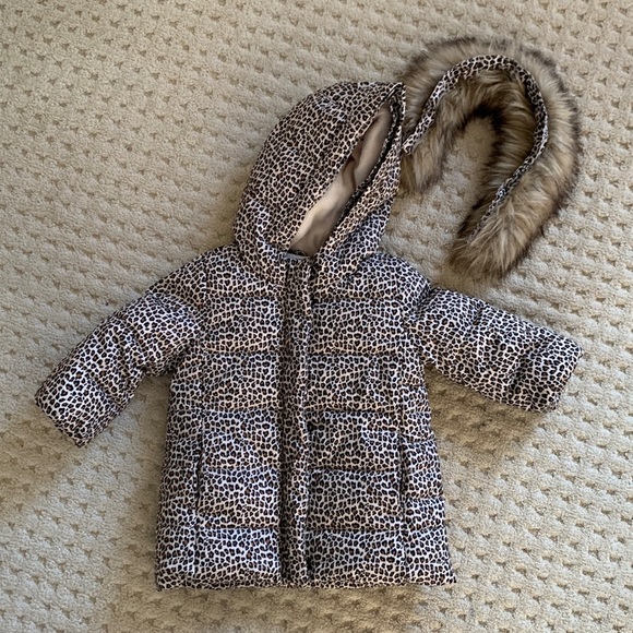 Gap Toddler Winter Jacket - Picture 1 of 3